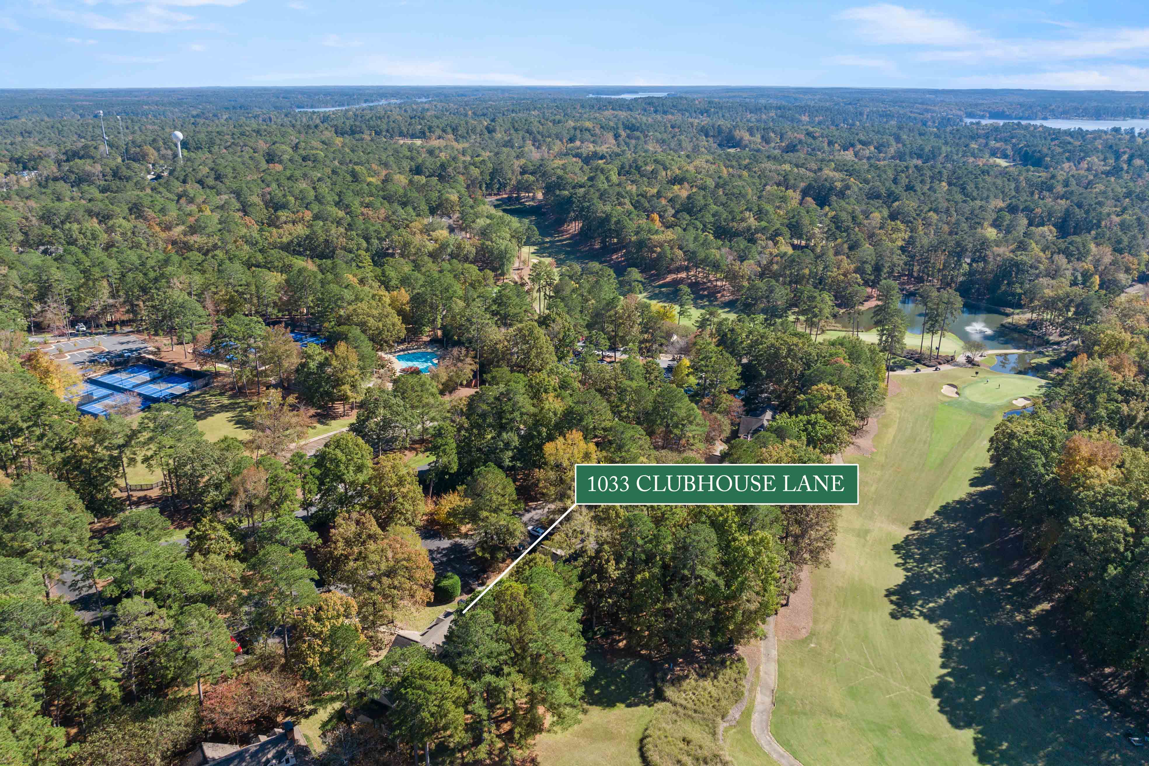 1033 Clubhouse Lane image 38